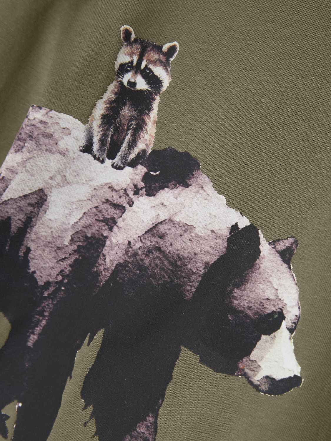 model_shot-front_full